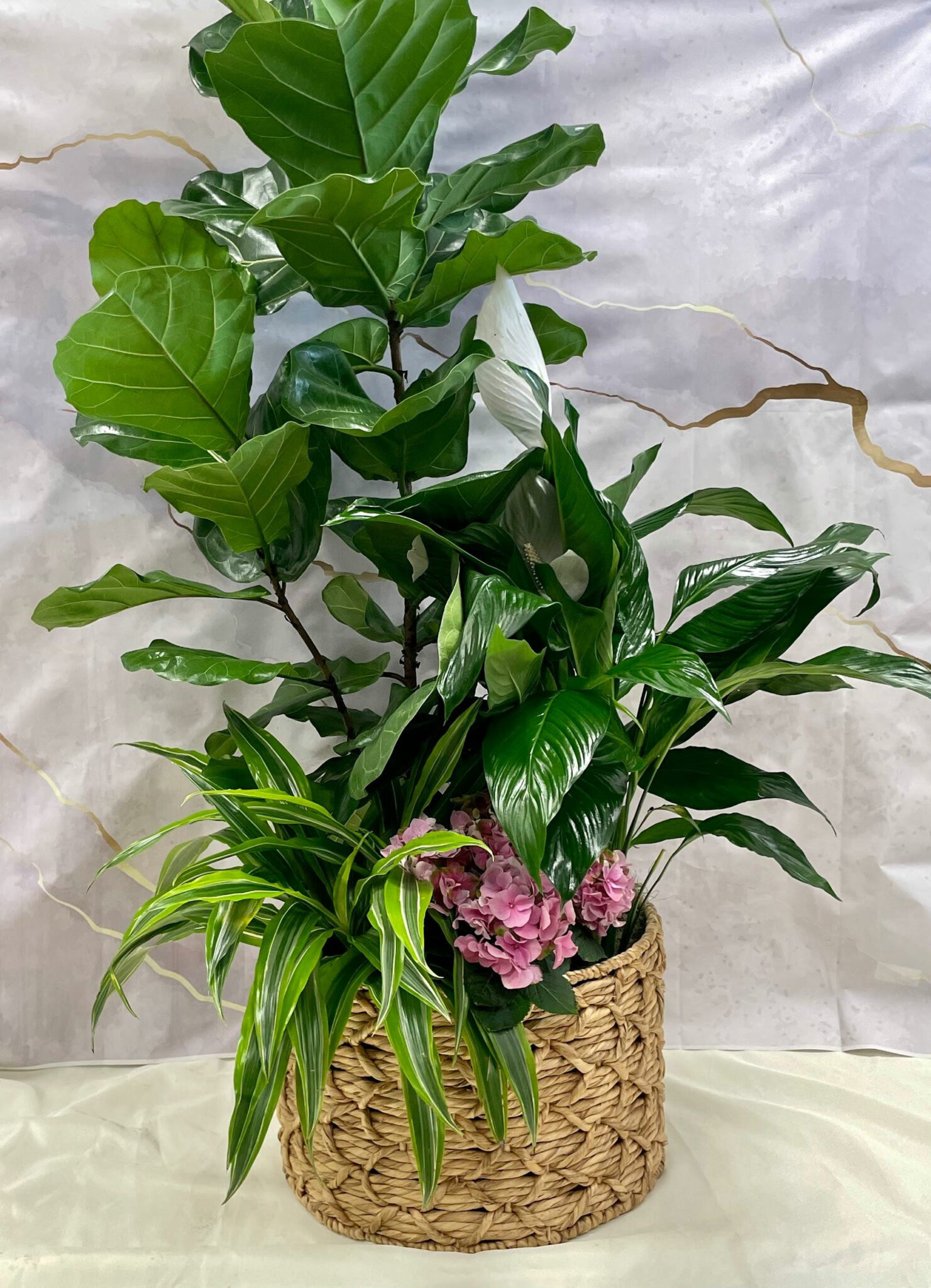 Anderson Family Funeral Home & Cremation Services Cresson Obituaries - kwj30gv