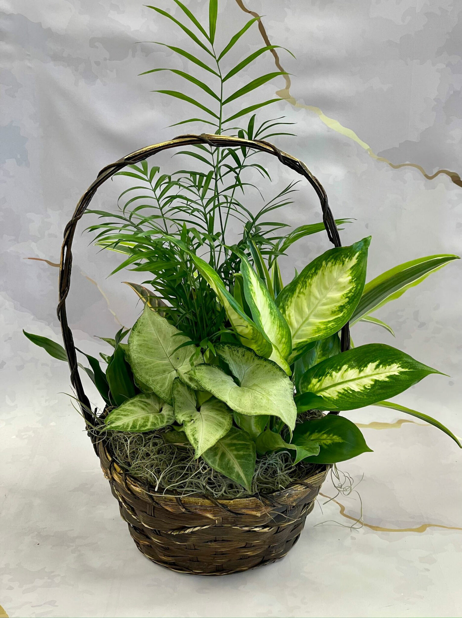 Hultgren Funeral Home And Cremation Services Obituariestimeline Friends - e18zeye