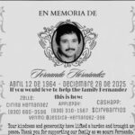 fernando hernandez Gallery